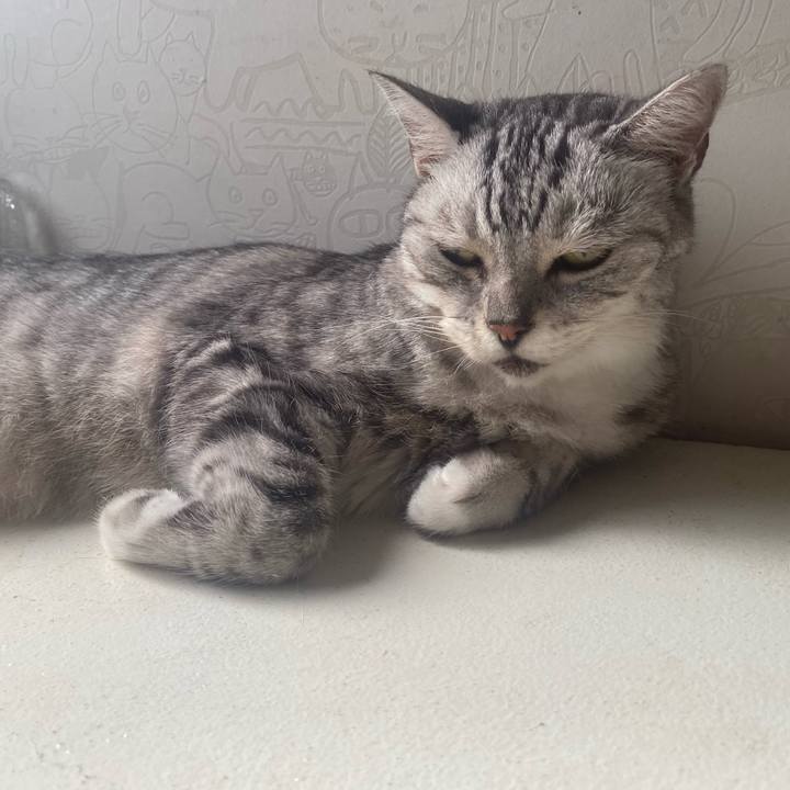 Df1548de 0489 4716 b8ae d9c3c3219f9c 1725294560193