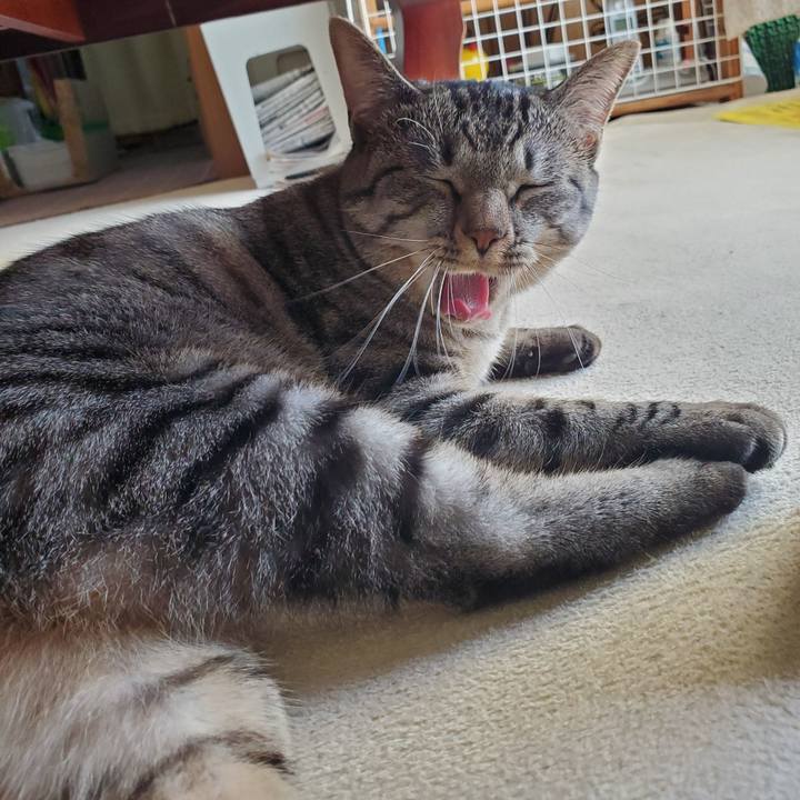 Df1576d4 f09a 4e07 988e 324e37b54878 1697552605991