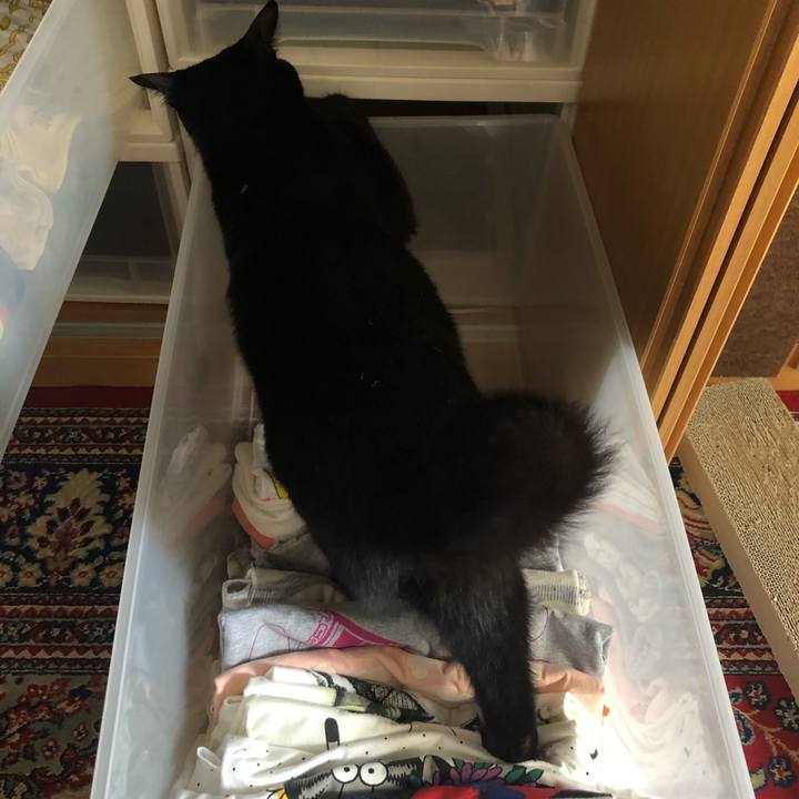 Df157b5f d804 4601 b142 33ce63378ad0 1557543162063