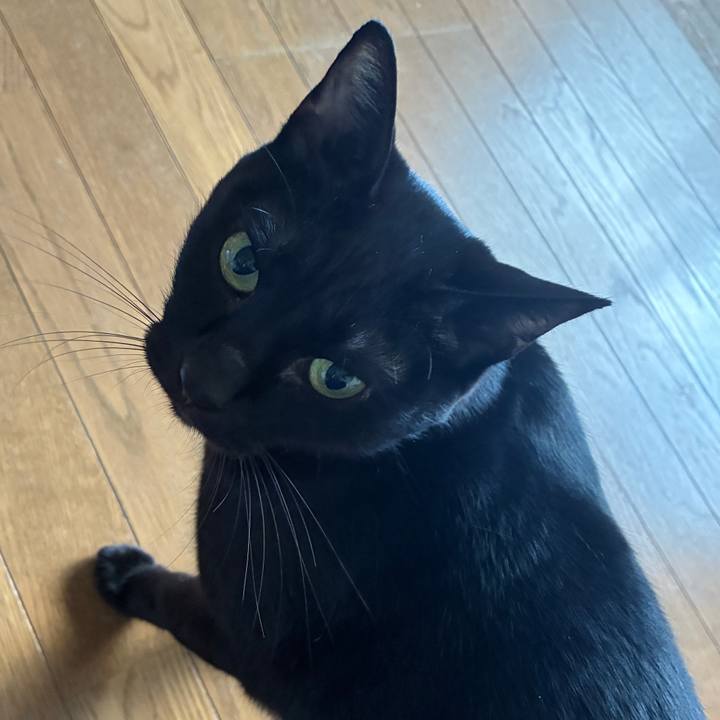 Df158a98 ace1 432d adf9 c452238c767f 1758231272648