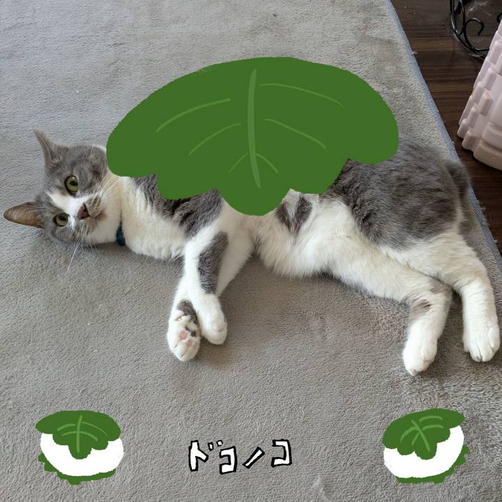 Df15d6e8 fd08 4a58 be1b 59c178058a85 1749093624982