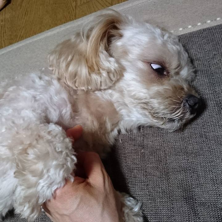 Df15f79d 591c 4cca b302 7e06f281d439 1532440389370