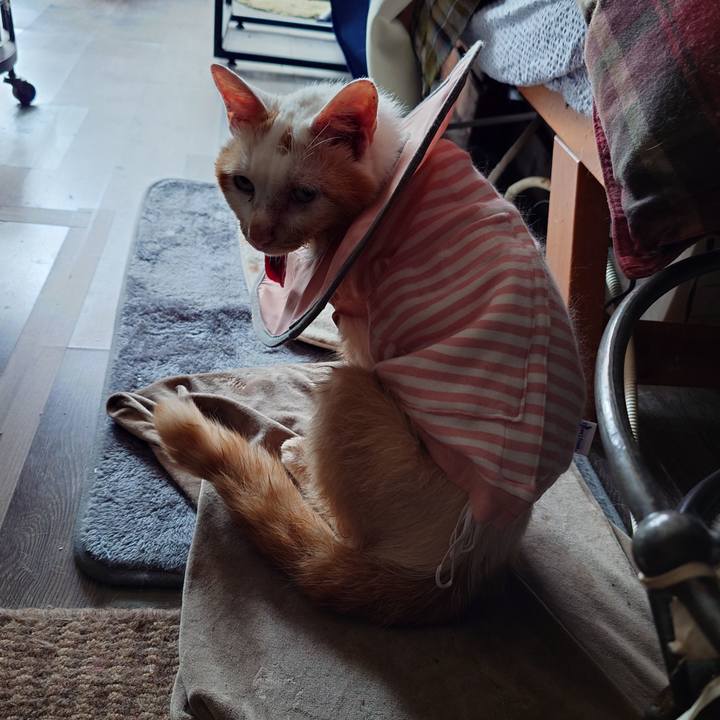 Df164760 5df4 480c bec5 4269cf7f6e97 1760404874003