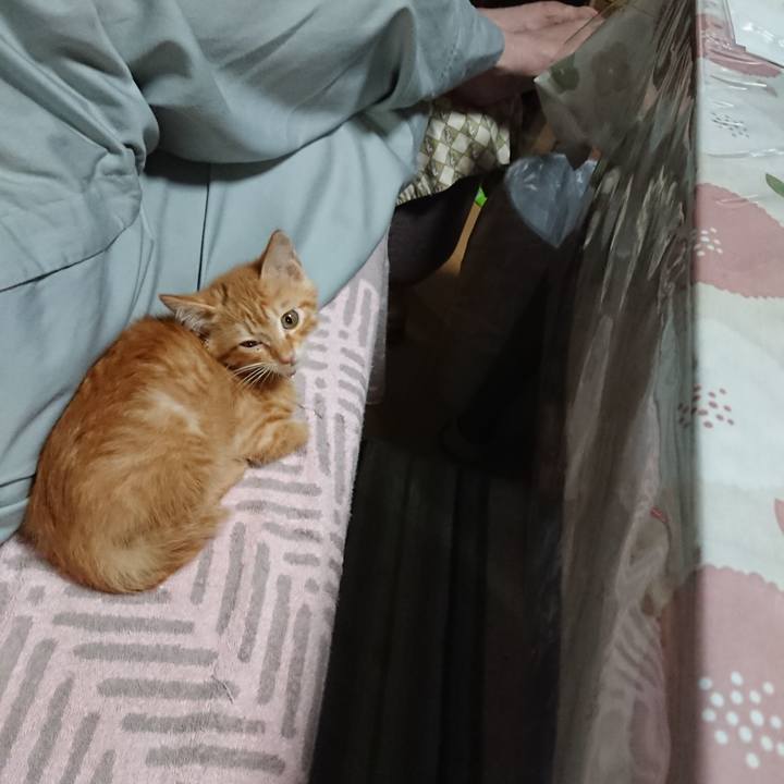 Df164919 22dd 4a2c 8d23 2cd8d08b7fc8 1628936242938