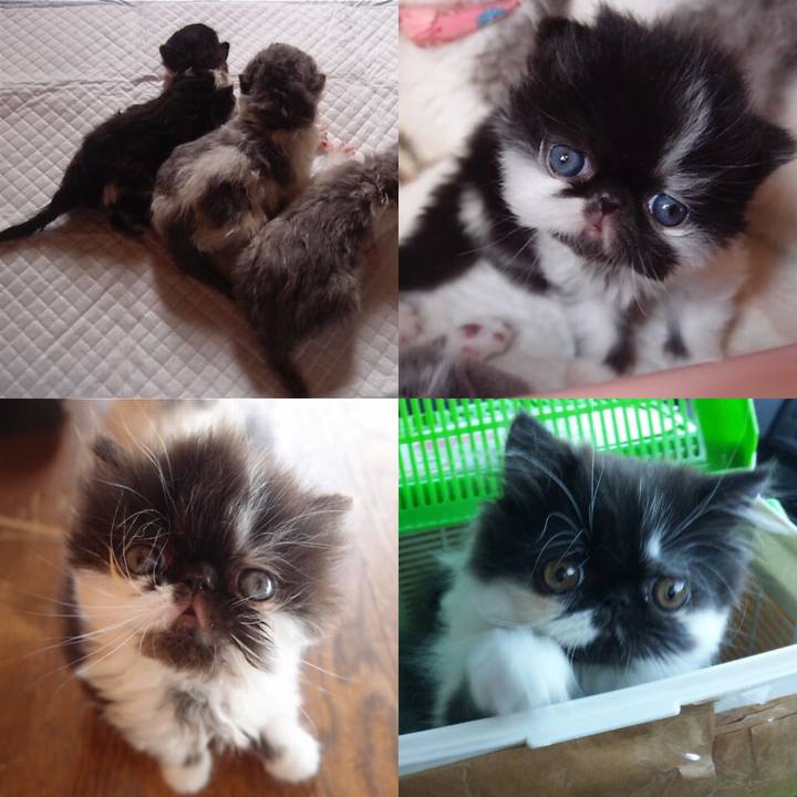 Df166800 3767 4a9b 9aaa 5bea58ae4536 1569477344393