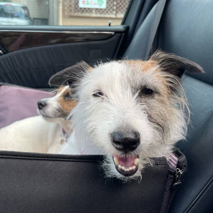 Df1673f2 74fa 47c6 9ddf 8efabf7cf052 1746601567006