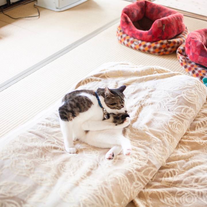 Df16e45f dc70 4ae5 875b f81744870b4f 1595043059477