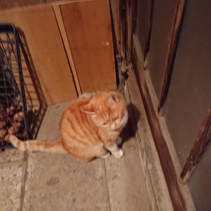 Df16fb8d ee1f 4def 849d 2787b5c2fd28 1606813148209