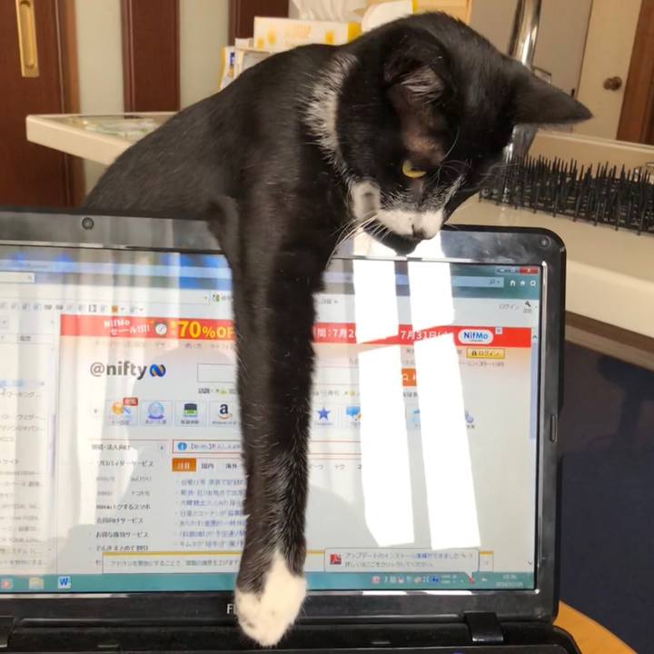 Df172154 8f58 435d bd0b 00fe519234cd 1532922050667