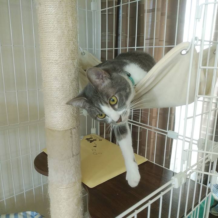 Df172e8d 7c24 4709 aabf 1a5e3342197a 1587647525923