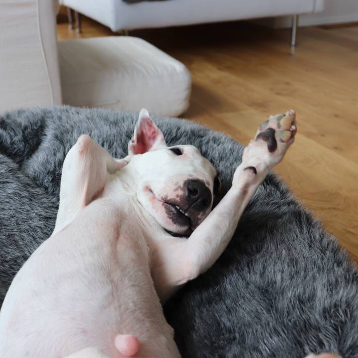 Df177eff 9259 4afe 9540 a313c627334b 1580857253696