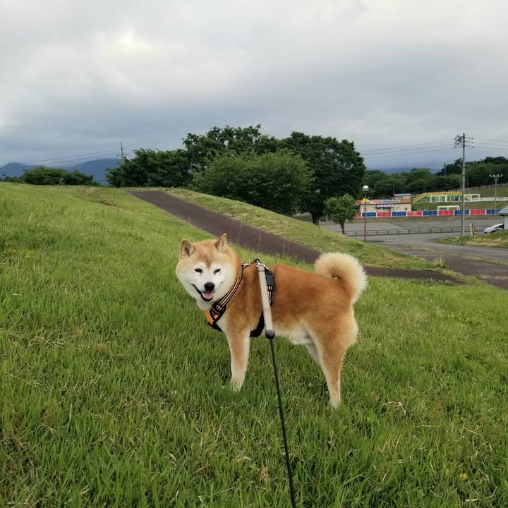 Df17920c 2e0a 4be7 9311 80b9852d6888 1716190951209