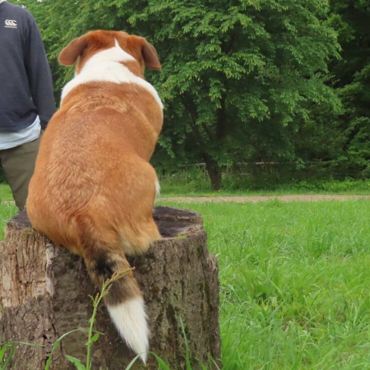 Df17ab3a 6d71 4895 84b1 d9ed6c900825 1652138150131