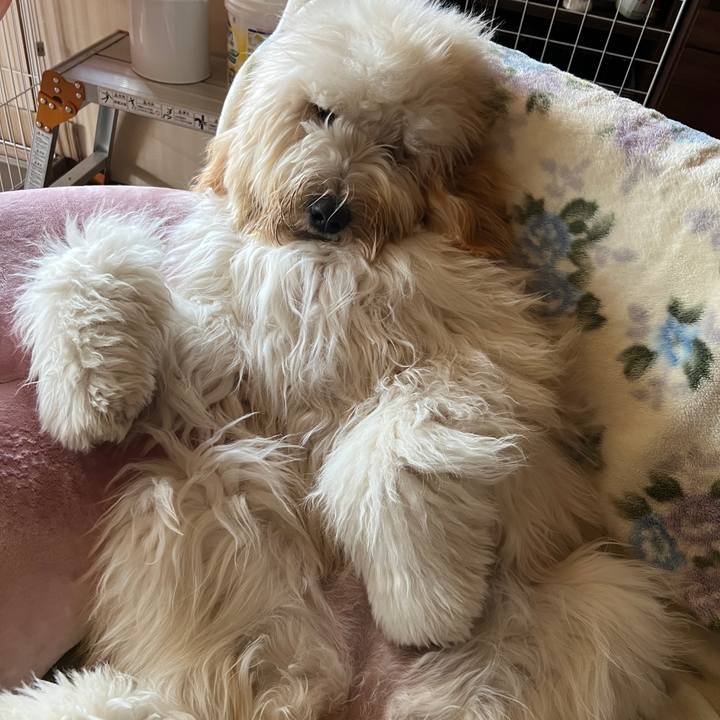 Df17b656 9f23 48e6 bb59 659aae12a8c0 1736119908930