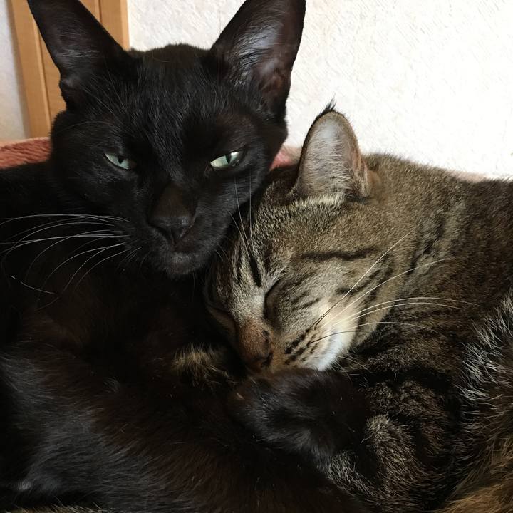 Df17e39d b3ae 4c9e b788 06aca89a38a7 1537576574293