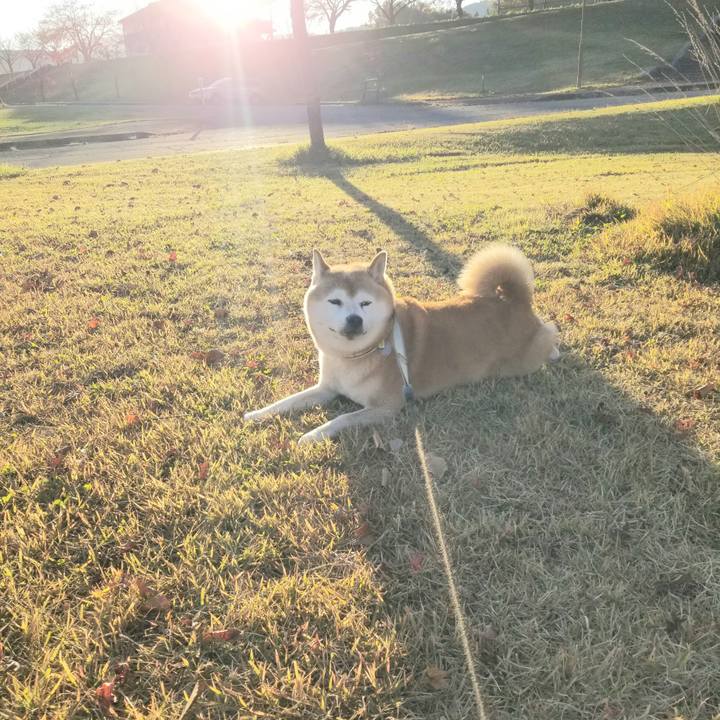 Df17f72c cb2f 4d89 8433 371172da3a0a 1667717160408