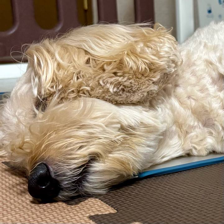 Df1805a5 7256 400c 9173 d0a7ebc16b06 1757733655958