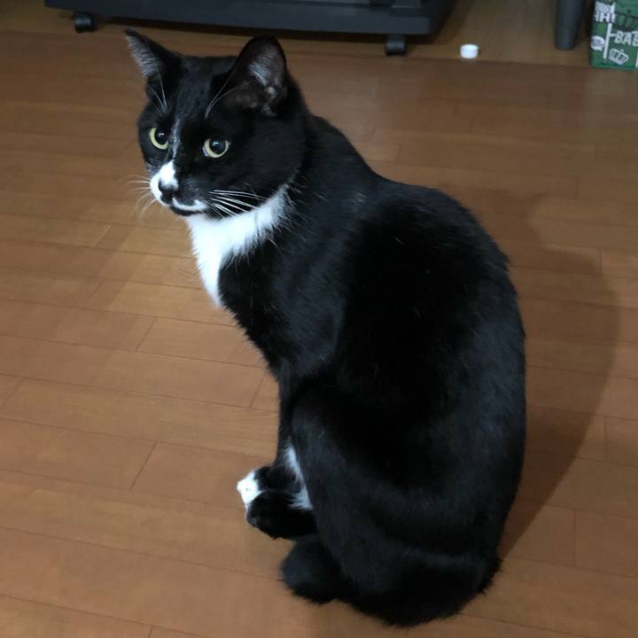 Df1825e6 5b1c 4fde 8f7a 98b43e6cefa5 1608003183178