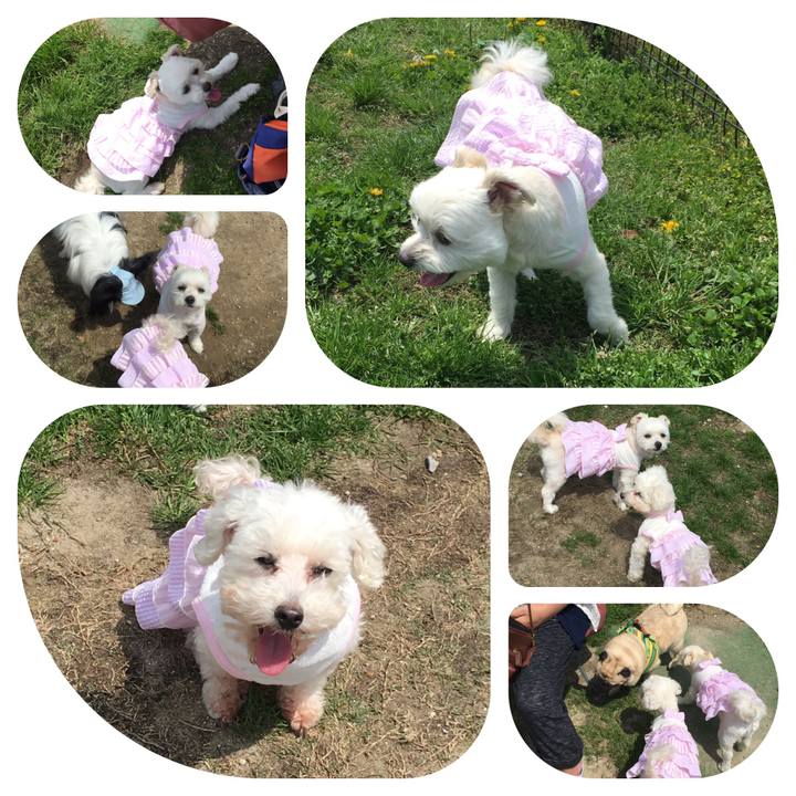 Df1828c7 2f54 422c 9afc 59d42c25fe55 1556863420552