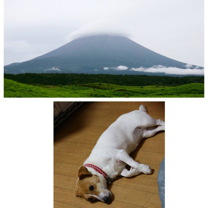 Df184ebb 6afc 4396 85e4 d016ff50bae7 1563605829203