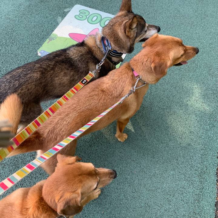 Df184f1d 3d6e 4520 a9bd 27a827426fdd 1570254393276