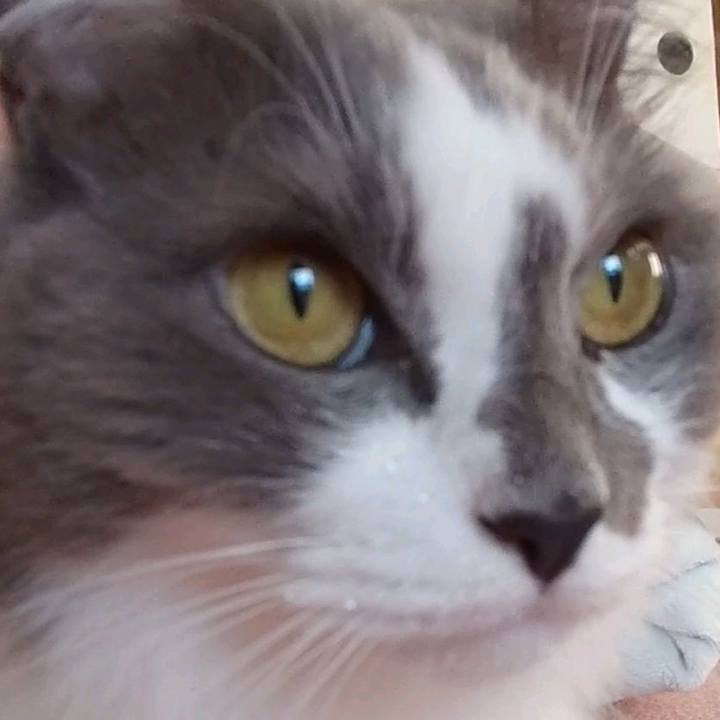 Df186490 17be 4751 a2b1 3e78f0597cbe 1635418597723