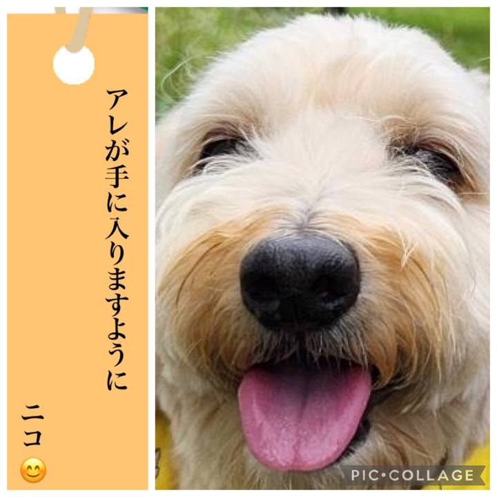Df1864b0 6b7e 4e5f a60a c75695db9046 1720301685621