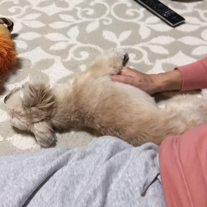 Df1895e4 e862 4e34 b158 b7dad8aec593 1553167412488