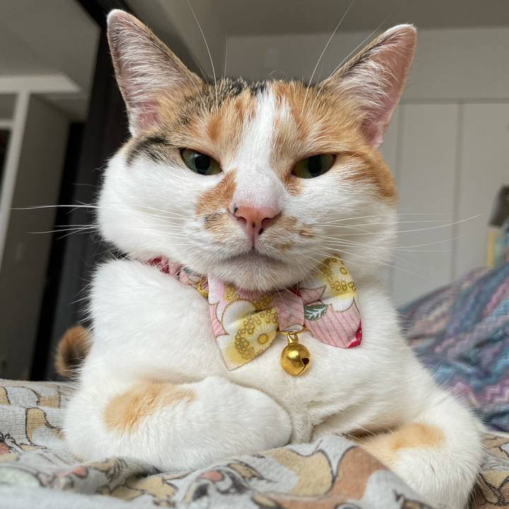 Df18c847 b983 431a a1bd 8b0103eb37c2 1625272875792