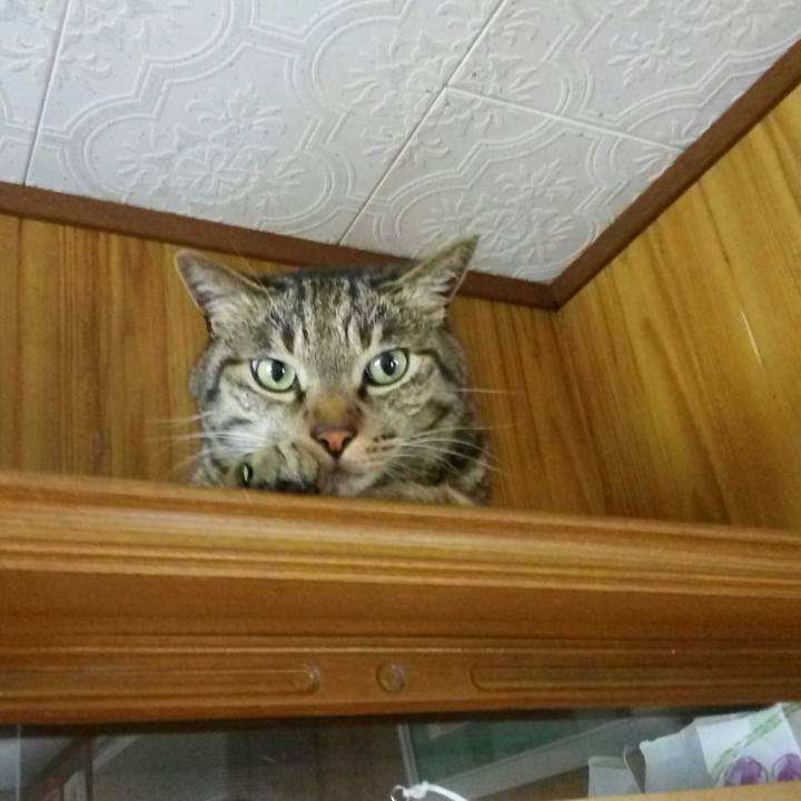 Df1922a5 2ccd 4887 b0d6 b561657ae436 1529997711552