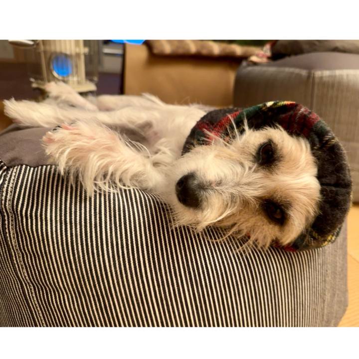 Df192c37 15ab 4040 abd0 5fef875b7fb2 1705151908521