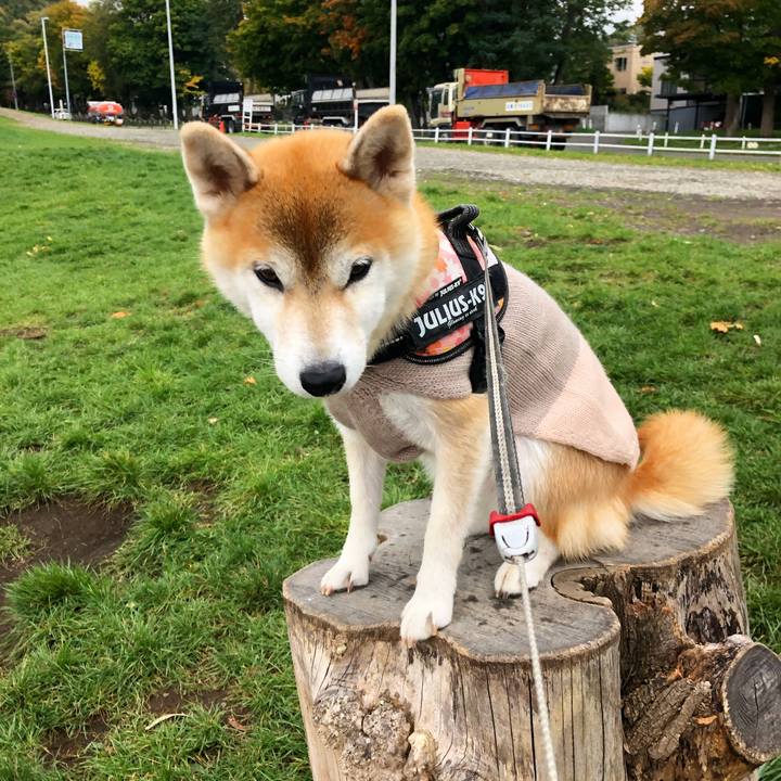 Df192df8 0c7f 4f8f 9972 7f90ac869aeb 1571100741705