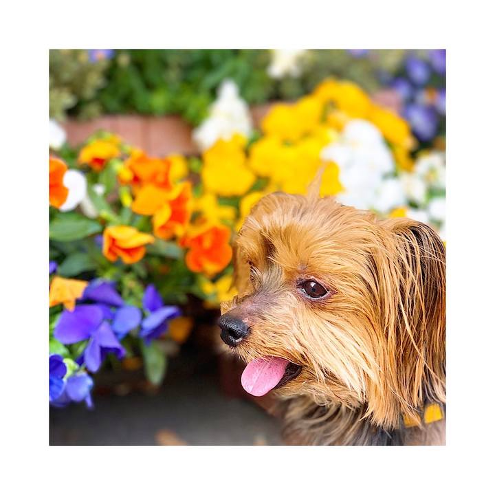 Df192ff9 0168 460c b37a 40db132e0625 1557488537416