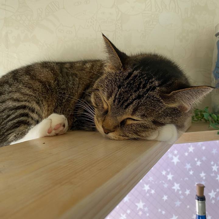 Df193a14 d3b1 4b01 a46e d8d6a570ea6a 1596422451466