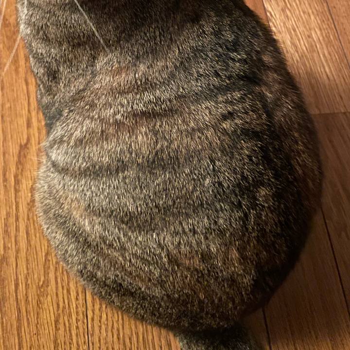 Df19877b 48ac 4aba 9a13 1d88cda5e5bf 1658110526269