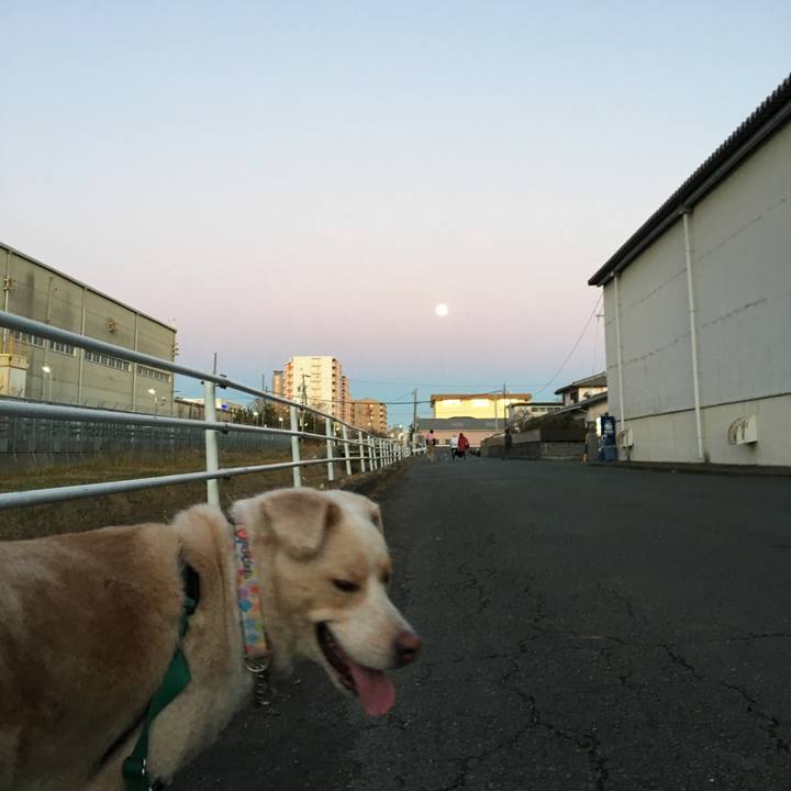 Df1995f2 3fa6 4616 8d19 7743bc4f374d 1514795605127