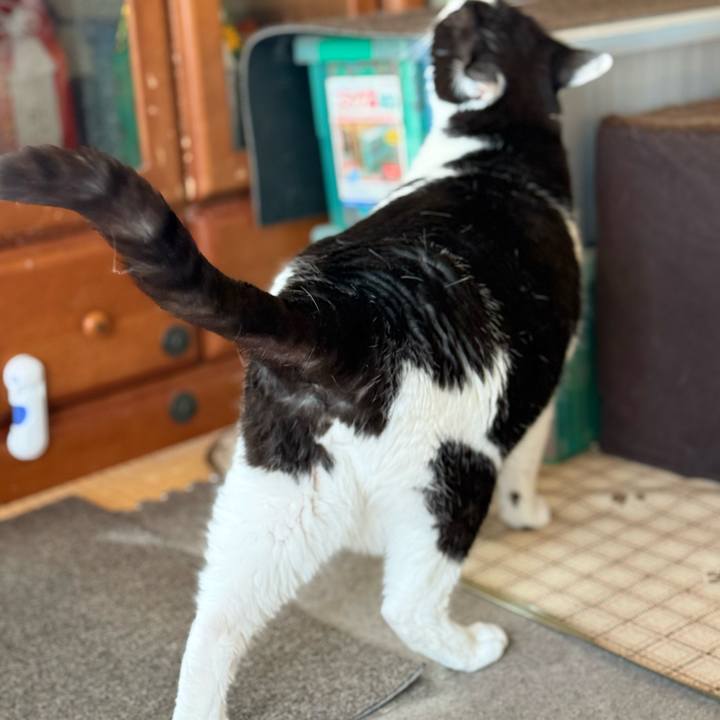 Df19a5b7 83c8 44ce 8673 286be6f38417 1745200788229