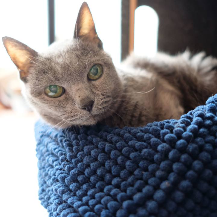 Df19aa05 9484 4051 8ad2 b46bf6be795f 1684028364078