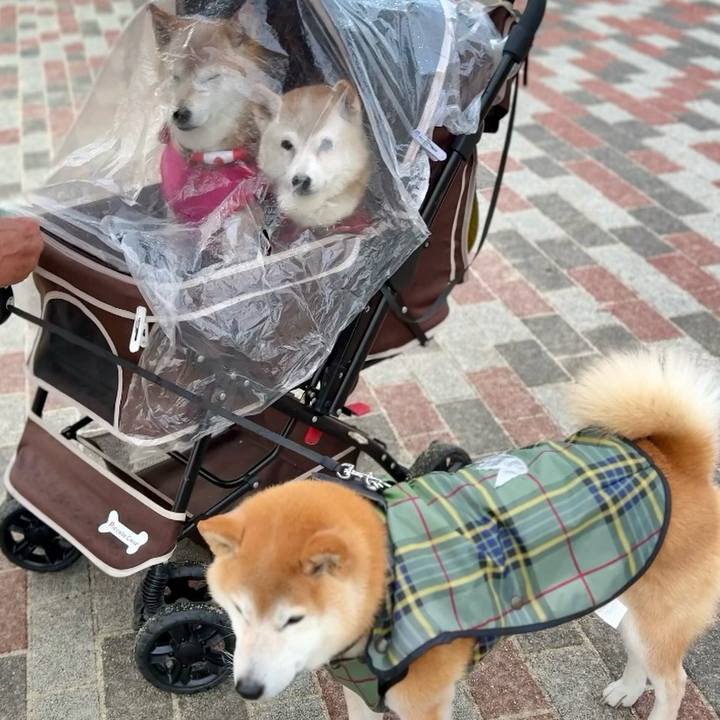 Df19ba63 050c 4051 a1b7 877a1217c4ee 1762357354955