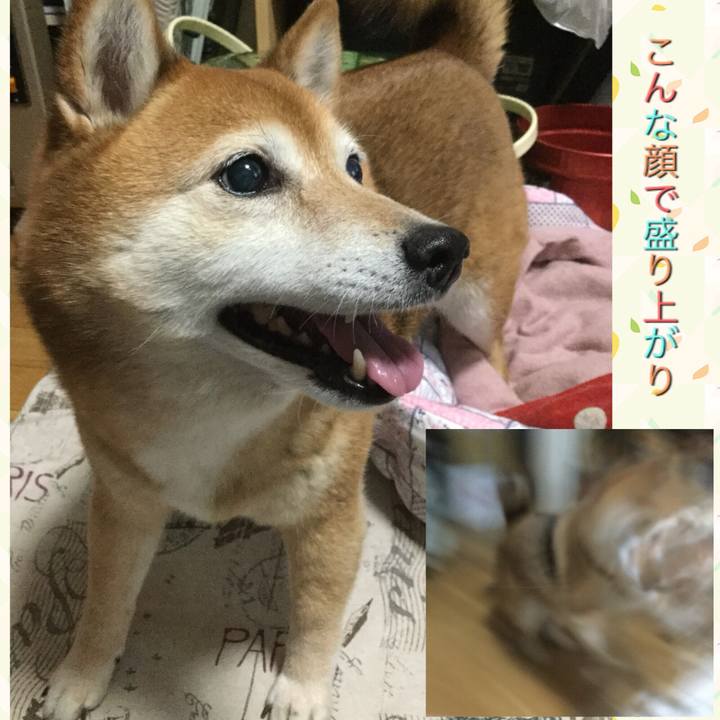 Df19daa1 1221 4303 b7f9 f30361b3d2b0 1621330541299