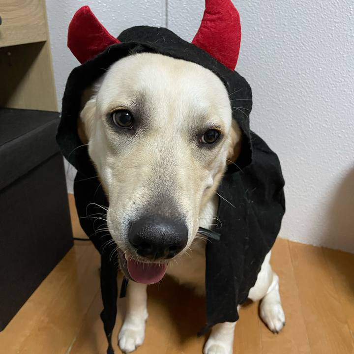 Df19f954 3886 4ee7 b634 06dfa48a6279 1633387180592