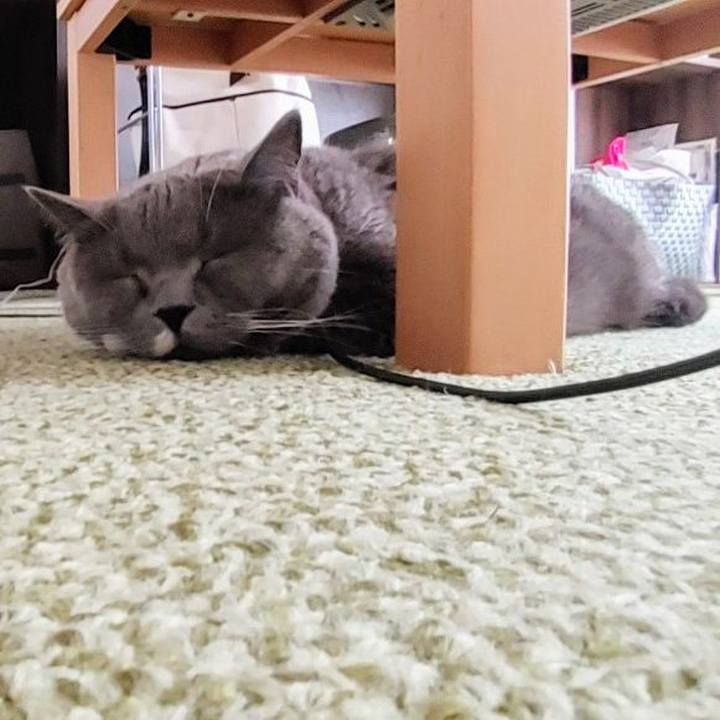 Df19fdb7 84b9 4d6d bc68 48aef614130b 1716098288734