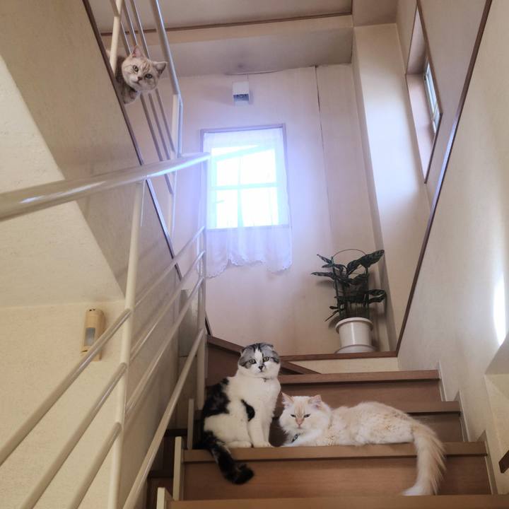 Df1a29f6 bdb1 488b 91d4 fc80ce65ddb4 1713570178475