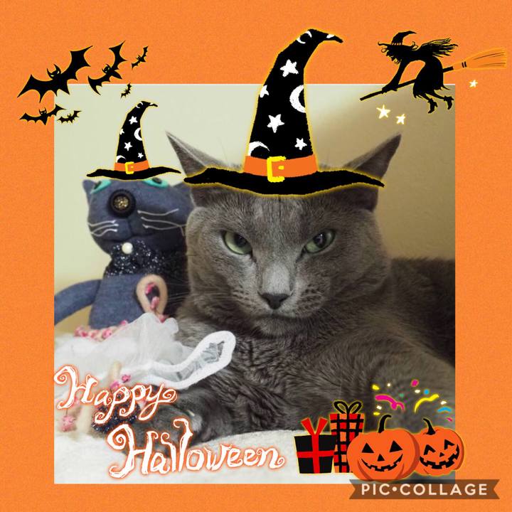 Df1a365b 3e94 4726 84e5 278c69d584b9 1571904129073