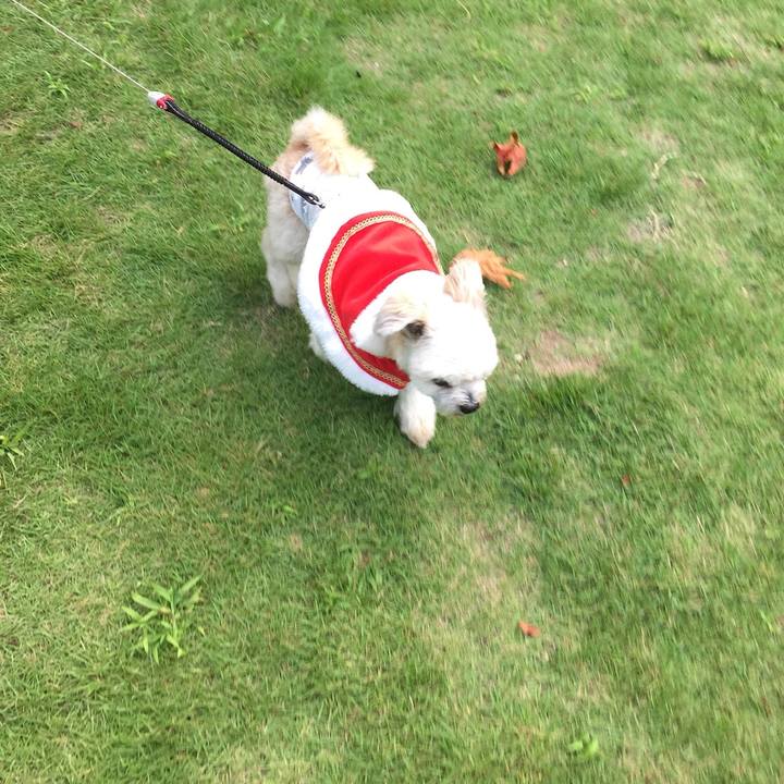 Df1a3c95 9175 477b b35f 9c3f23c590b1 1614255391980