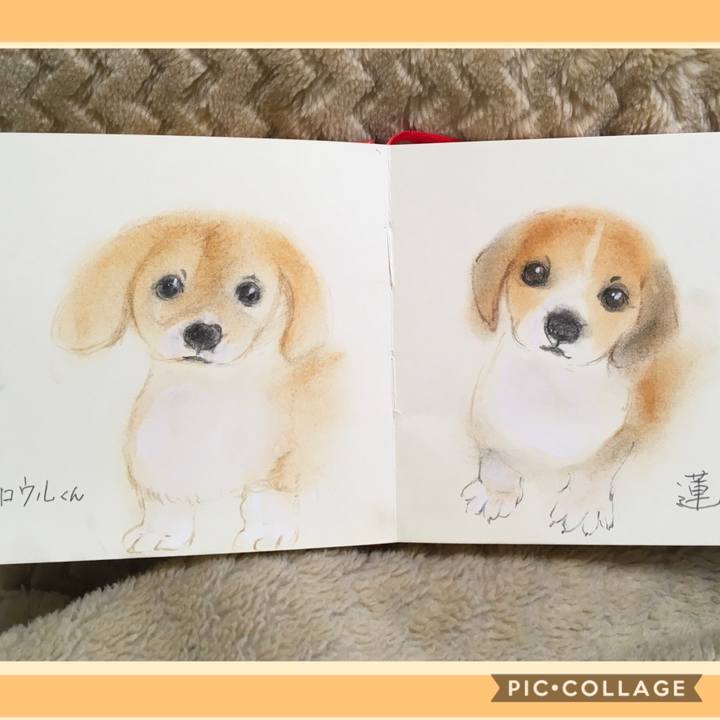 Df1a5ab5 0a3b 4699 a521 0cfab58f83f6 1590244923945