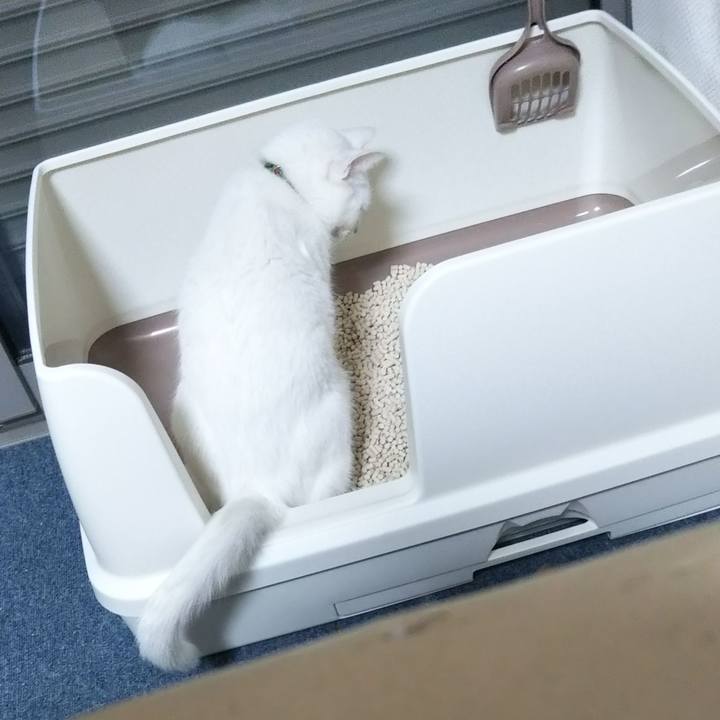 Df1aa576 0165 4236 b943 76360b696475 1643363529353