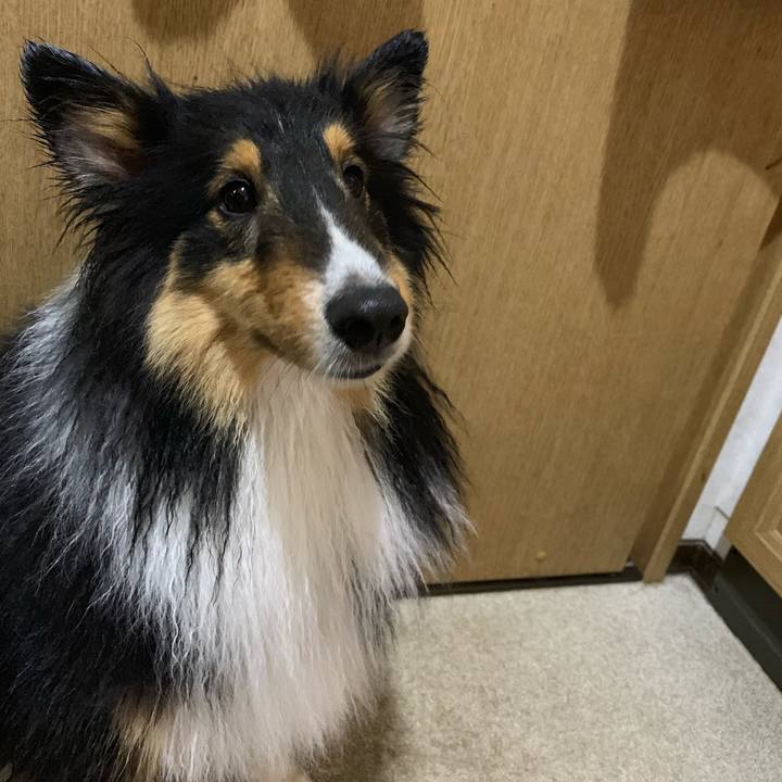 Df1ae0f7 3c88 44a6 9e68 26e039ef4a85 1556144129284