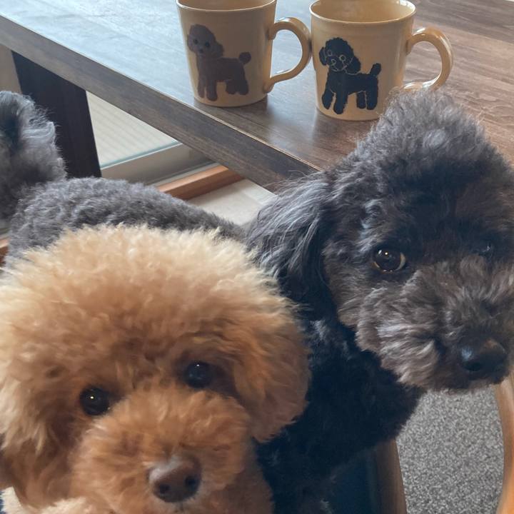 Df1af184 e8c9 4074 b7f5 4e57109efc1c 1676039633206