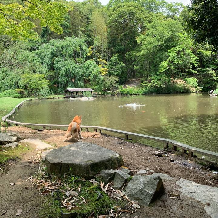 Df1b107c 6f34 4058 a0e3 52ef33e7772e 1590388488220